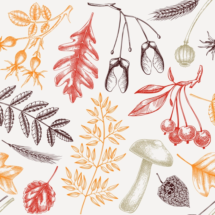 Autumn seamless pattern. Fall leaves background. Dried flowers sketches. Hand-drawn dried plant, fall leaves, mushrooms backdrop. For wrapping paper or fabrics